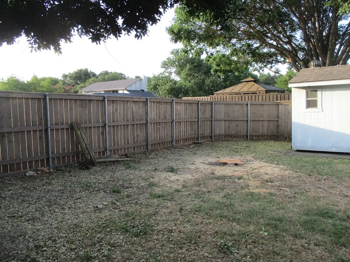 Cleared yard after professional tree removal in Fremont Center